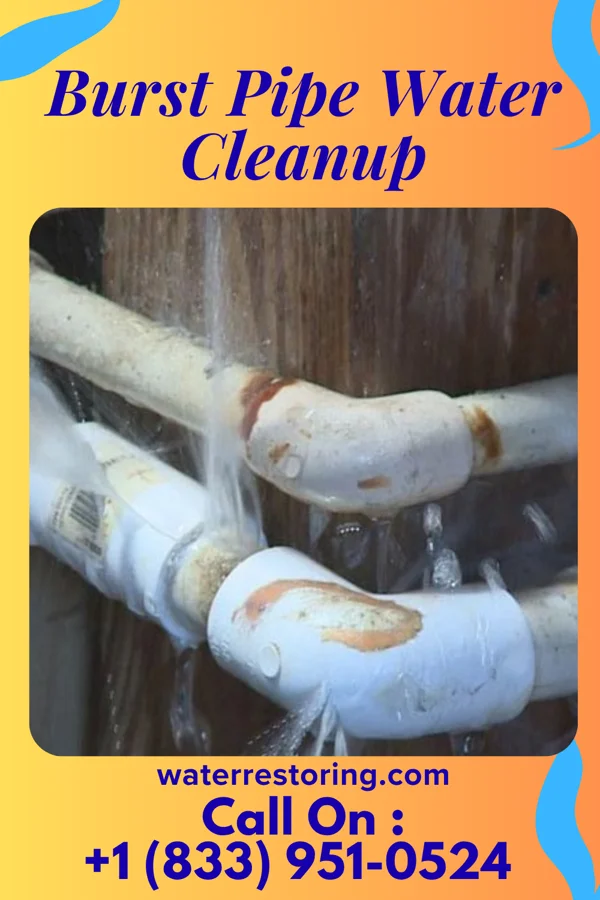 Burst Pipe Water Cleanup in Macclesfield, NC