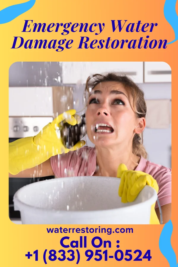 Emergency Water Damage Restoration in Macclesfield, NC