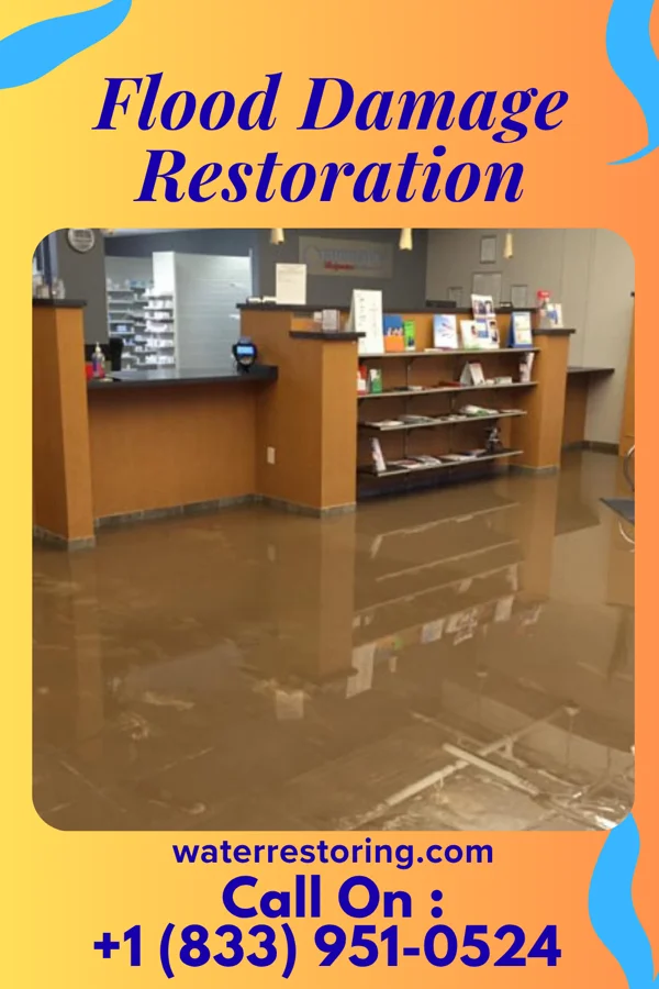 Flood Damage Restoration in Macclesfield, NC