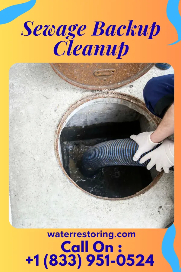 Sewage Backup Cleanup in Macclesfield, NC